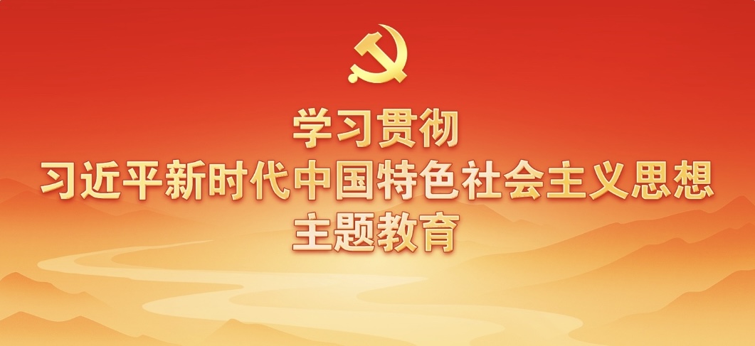 在学习贯彻习近平新时代中国特色  社会主义思想主题教育工作会议上的讲话